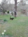 IMG_20210422_163056.jpg