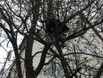 IMG_20210422_163443.jpg