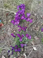 IMG_20210320_141548.jpg