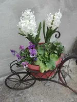 IMG_20210422_162916.jpg