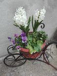 IMG_20210422_162916.jpg