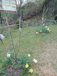 IMG_20210422_163046.jpg