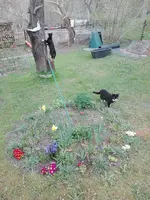 IMG_20210422_163112.jpg
