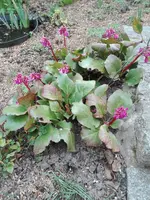 IMG_20210422_163135.webp