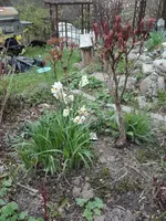 IMG_20210422_163952.jpg
