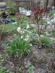 IMG_20210422_163952.jpg