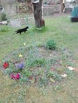 IMG_20210422_164452.jpg