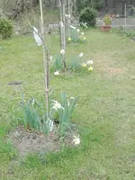 IMG_20210422_164639.jpg