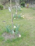 IMG_20210422_164639.jpg