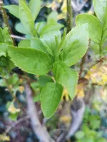IMG_20210423_201907.webp