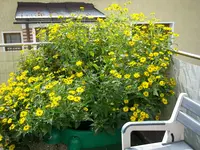 26_08_2019 (2).webp