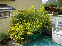 26_08_2019 (3).webp
