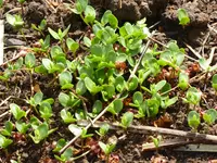 L1000295Lein.webp