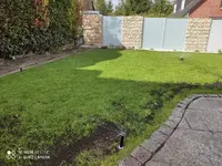 beregnung.jpg