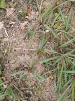 was_ist_das_01.webp