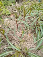 was_ist_das_02.webp