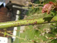 24_04_2021 (51).webp