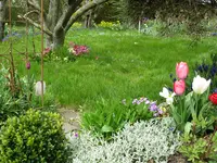 IMG_7444.webp