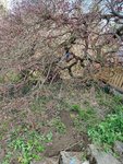 IMG_20210425_120757.jpg