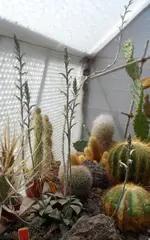 SAM_2379.webp