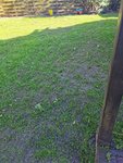 IMG_20210425_162055.jpg