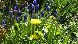 P1280080.webp