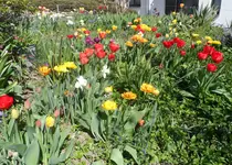 SAM_2391.webp