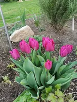 IMG_20210421_182617.webp