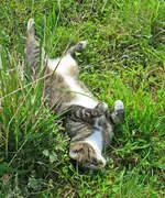 IMG_1529 v (2).webp