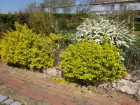 DSC01650.webp