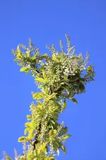 image001.webp