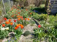 Sandbeet am  26.4.2021.webp