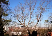 image001.webp