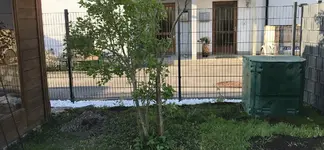 E0078E6F-B4A2-4781-B7F7-9C599F74A34E.jpeg