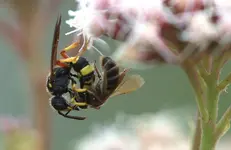 20200803_212446[1].webp