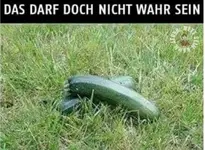 Veganer?.jpg