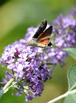 IMG_8713 (2).webp