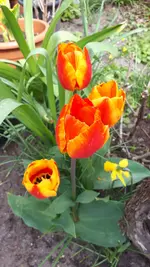 20210424_144438.webp