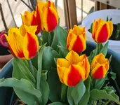 20210427_103030.webp