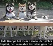 1619541521663.webp