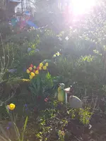 20210427_190614.webp