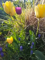 20210427_180812.webp