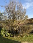 IMG_1773.JPG