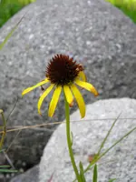 DSCN9060.webp