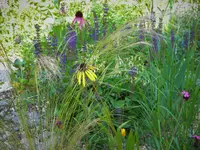 DSCN9061.webp
