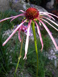 DSCN9073.JPG
