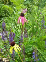 DSCN8943.webp