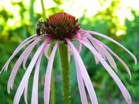 DSCN6696.webp