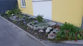 20210427_184149.webp