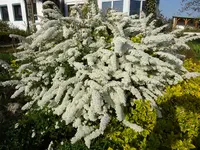 DSC01657.webp